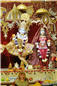 Tulsi Vivah - ISSO Swaminarayan Temple, Los Angeles, www.issola.com